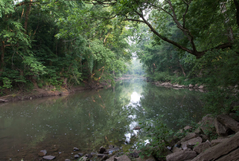 Deerwood Arboretum & Nature Center, United States